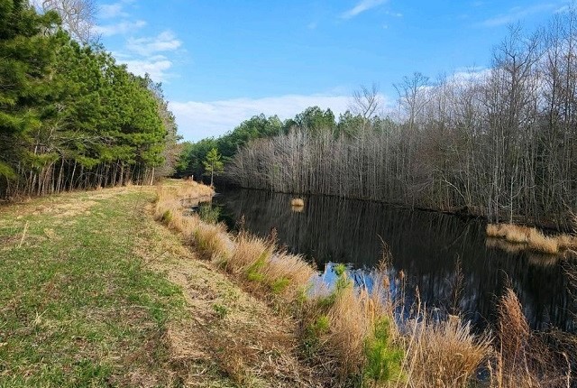Grass buffer along waterway